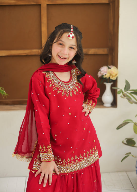 Deep Pink Lehnga-KL 014