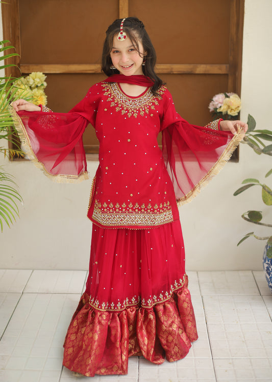 Deep Pink Lehnga-KL 014