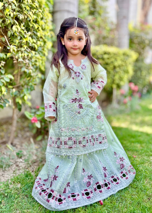 Tea Green Lehenga KL 026