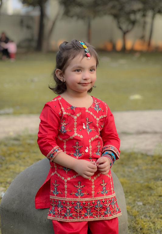 Tomato Red Embroidered 2Pcs Suit KST 083