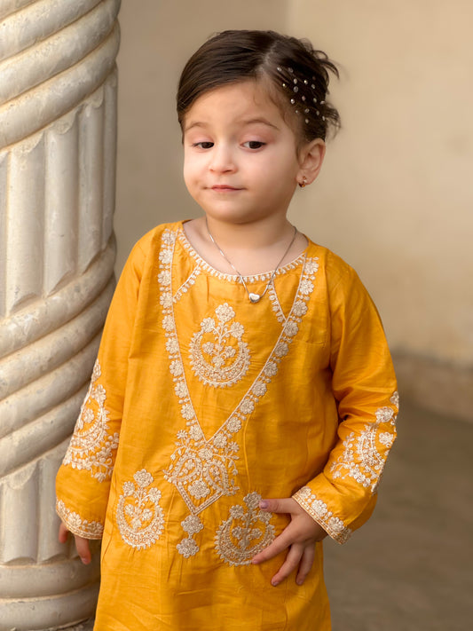 Yellow Embroidered 2Pcs Suit KST 111