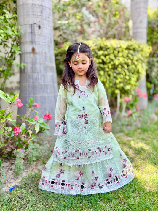 Tea Green Lehenga KL 026