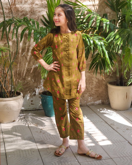 Hazelwood Brown Kurta Set KST 190