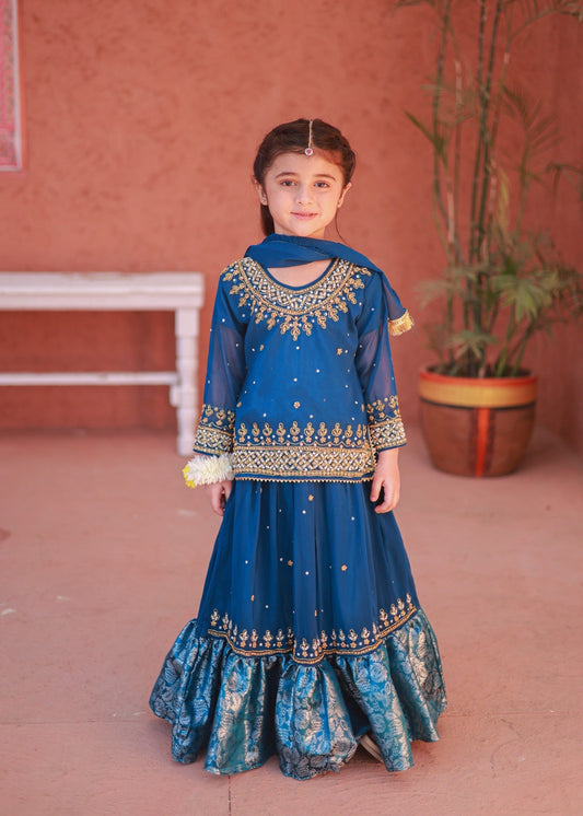 Blue Lehenga-KL 003