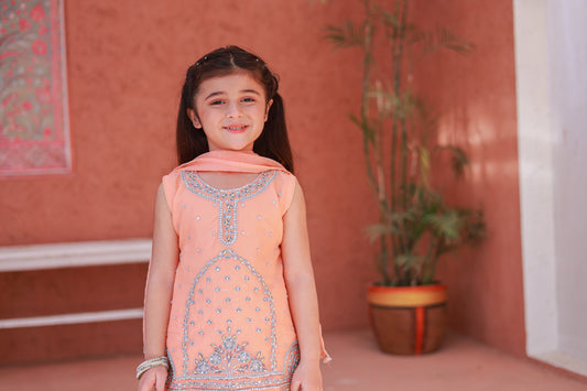 Apricot Gharara-KG 012