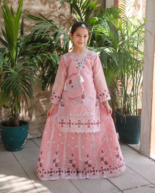 Salmon pink Lehenga KL 027