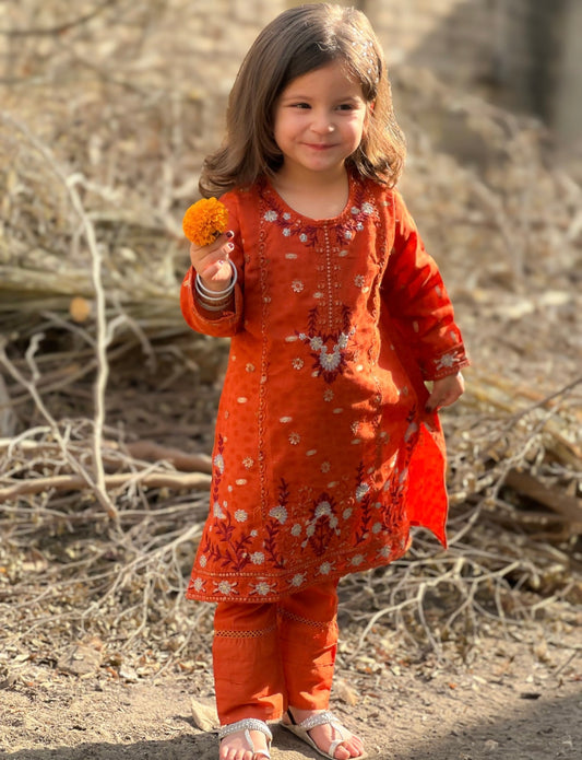 Rust Orange Embroidered KST 086