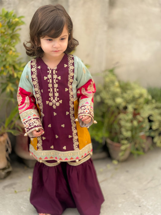 Purple Multi Colour Gharara-KG 016