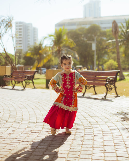 Multi Colour Gharara-KG 013