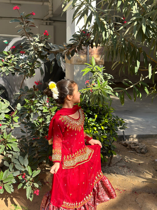 Maroon Lehnga-KL 006
