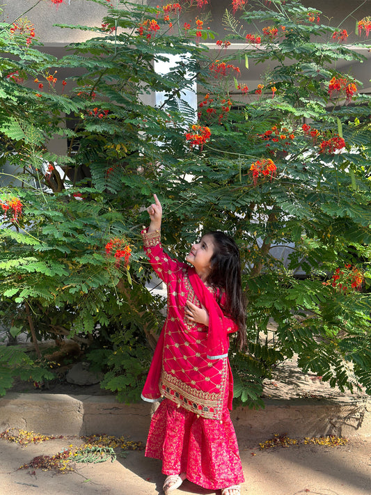 Shocking Pink Gharara-KG 017
