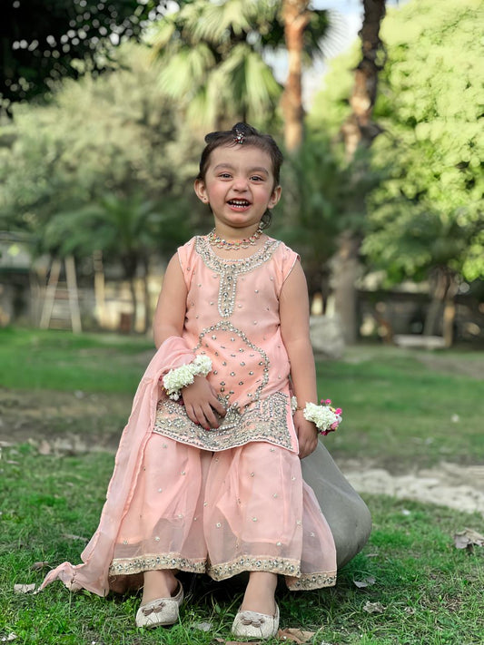 Apricot Gharara-KG 012