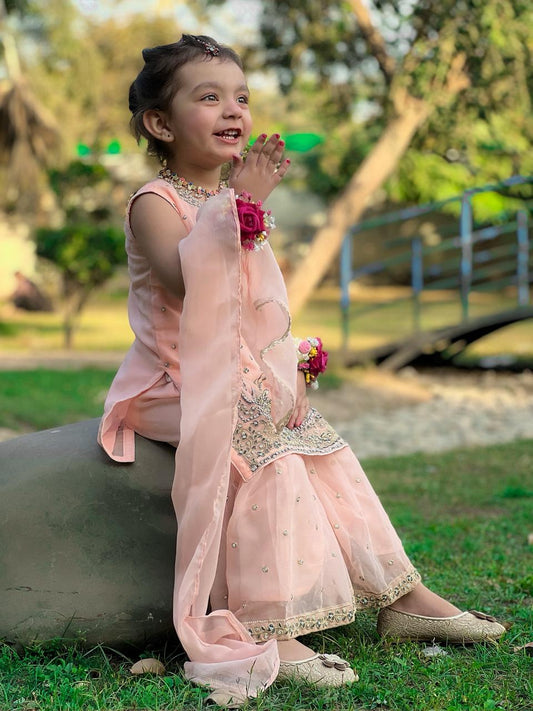 Apricot Gharara-KG 012