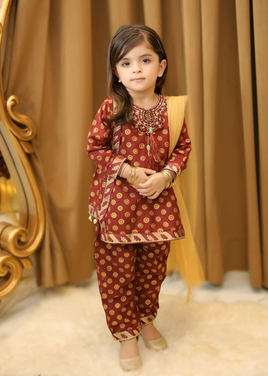 Brown 3Pcs Suit-KST 039