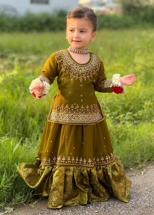 Olive Green Lehenga-KL 005