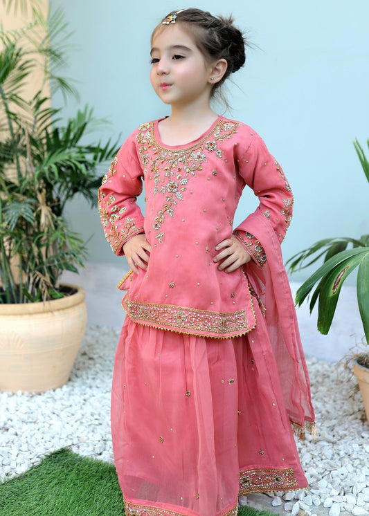 Cotton Candy Pink Lehenga KL 008