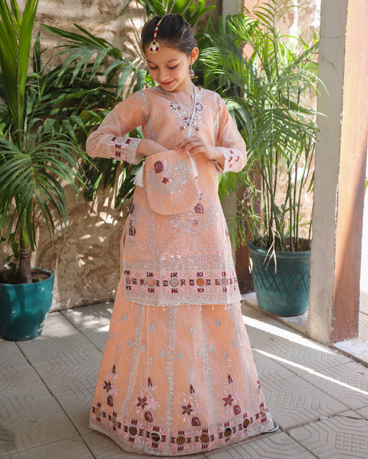 Peach Orange Lehenga KL 024
