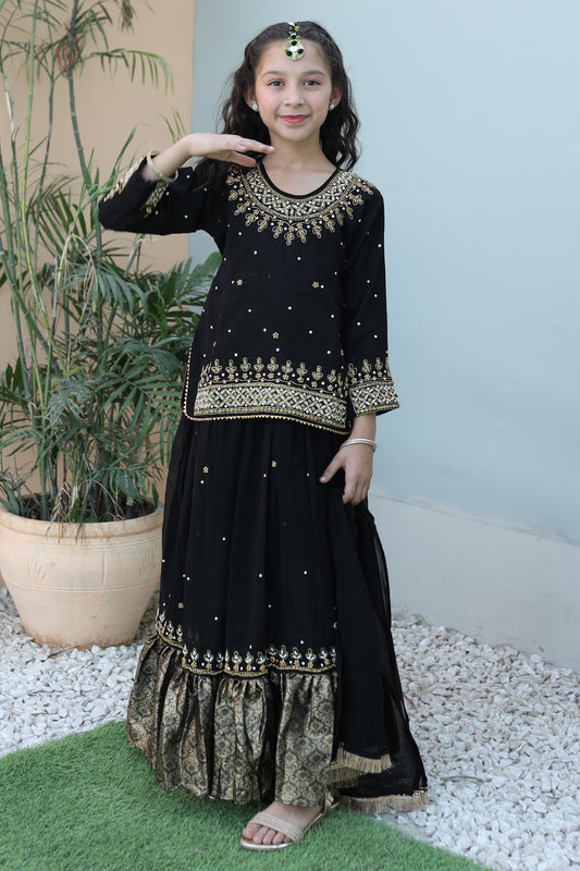 Carbon Black Lehenga KL 011