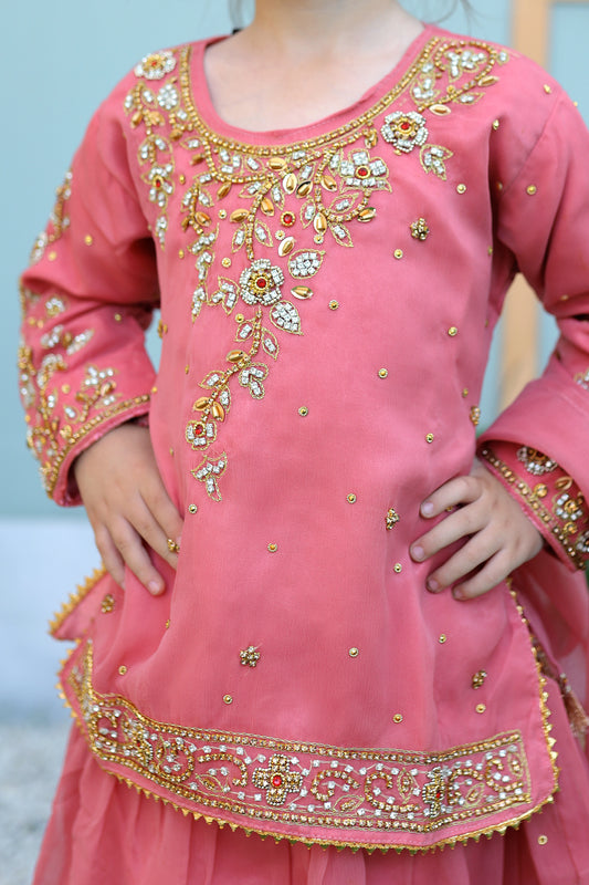 Cotton Candy Pink Lehenga KL 008