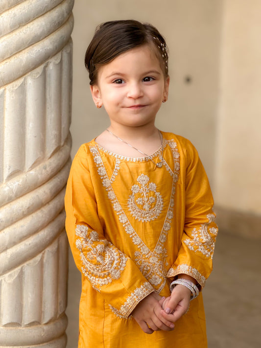 Yellow Embroidered 2Pcs Suit KST 111