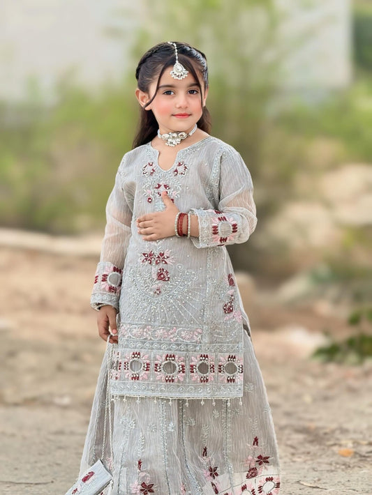Pastel Grey Lehenga KL 025