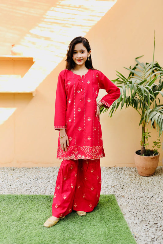 Deep Pink Embroidered Gharara KST 109