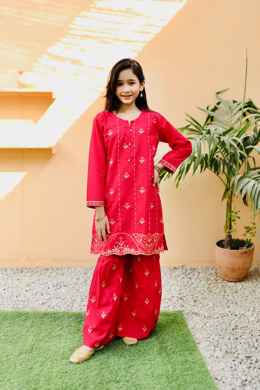 Deep Pink Embroidered Gharara KST 109