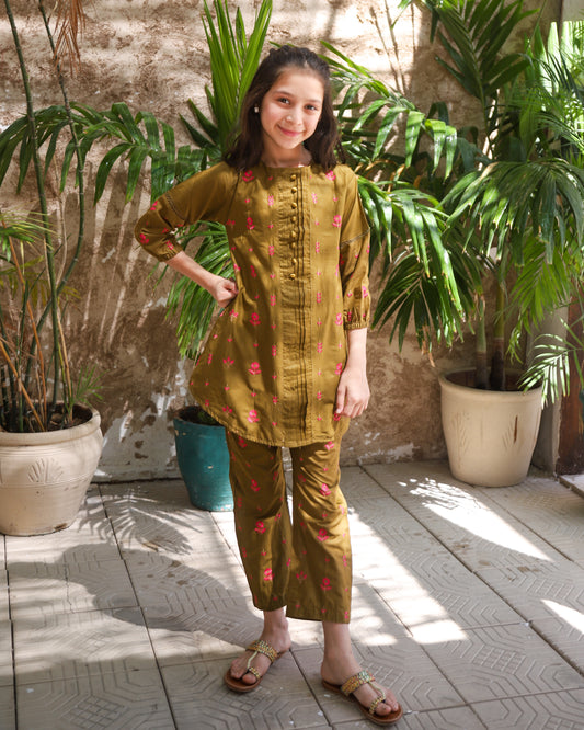 Hazelwood Brown Kurta Set KST 190