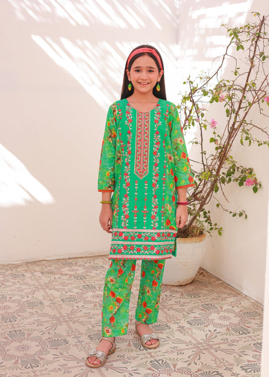 Apple Green Embroidered 2pcs suit-KST 010
