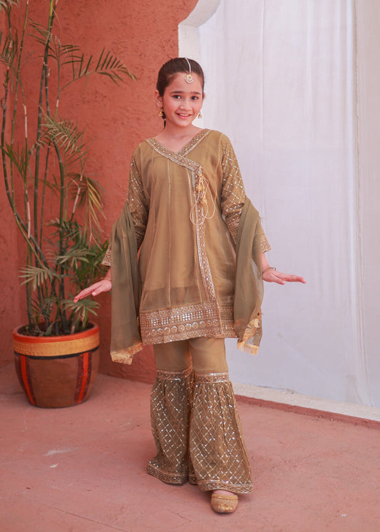 Copper Brown Gharara-KG 014