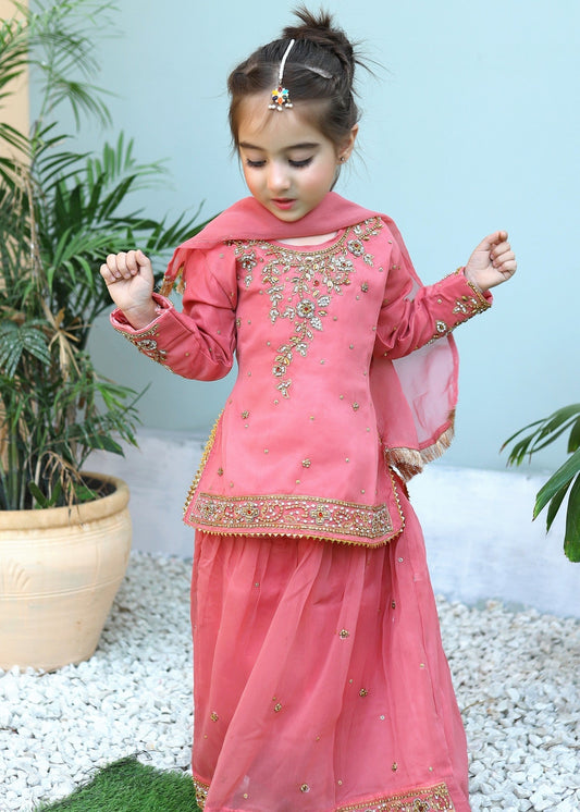 Cotton Candy Pink Lehenga KL 008
