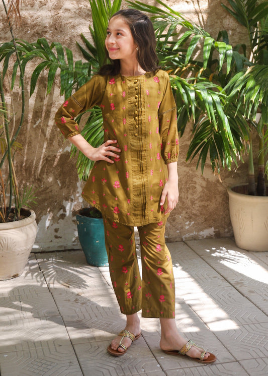 Hazelwood Brown Kurta Set KST 190