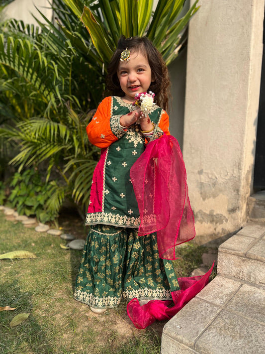 Green Multi Colour Gharara-KG 020