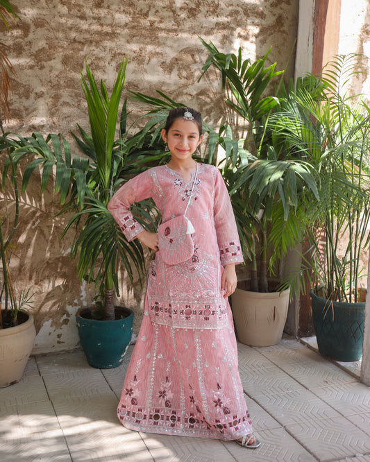 Salmon pink  Lehenga KL 027