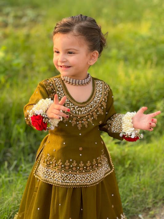 Olive Green Lehenga-KL 005