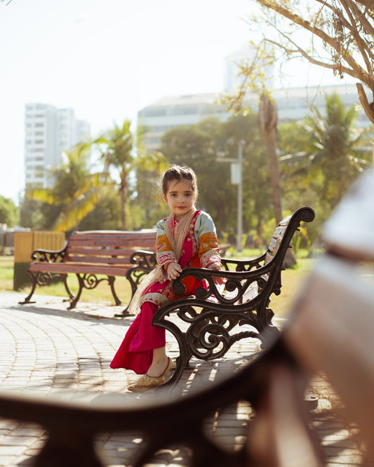 Multi Colour Gharara-KG 013