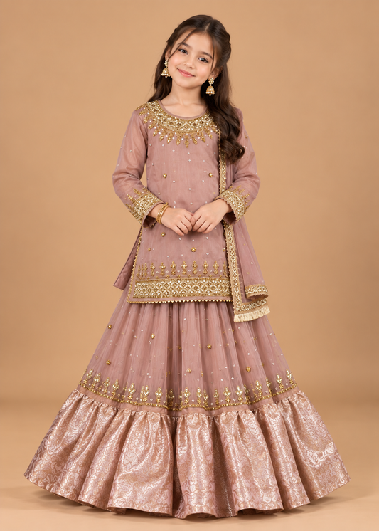 Rose Pink Lehenga-KL 029