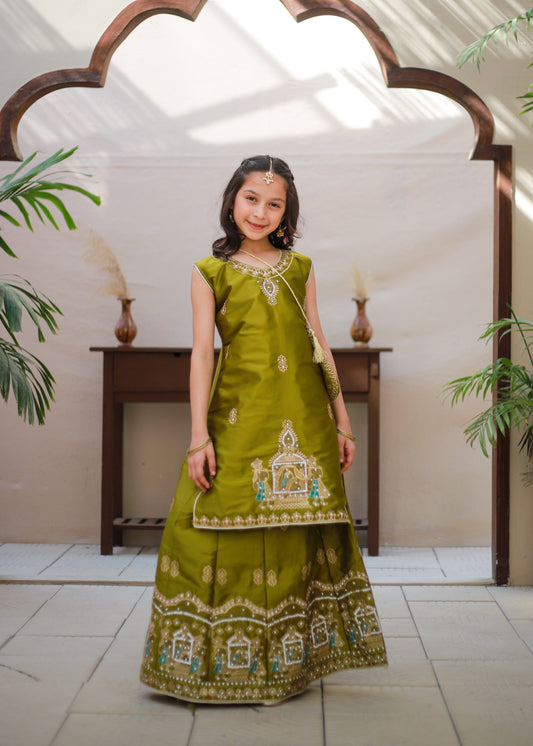 Apple Green Lehenga Choli KL 016