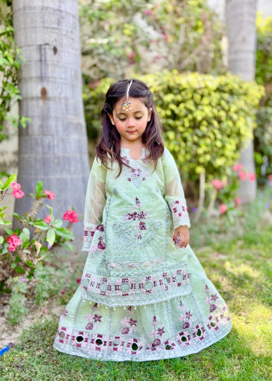 Tea Green Lehenga KL 026