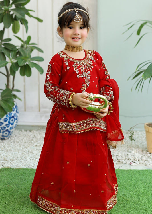 Venetian Red Lehenga KL 007