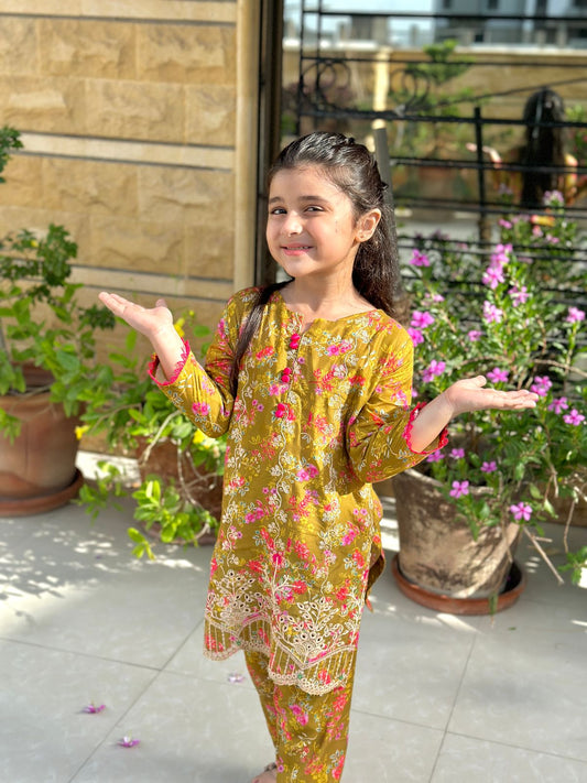 Sienna Brown 2pcs Embroidered Suit KST 062 (Copy)