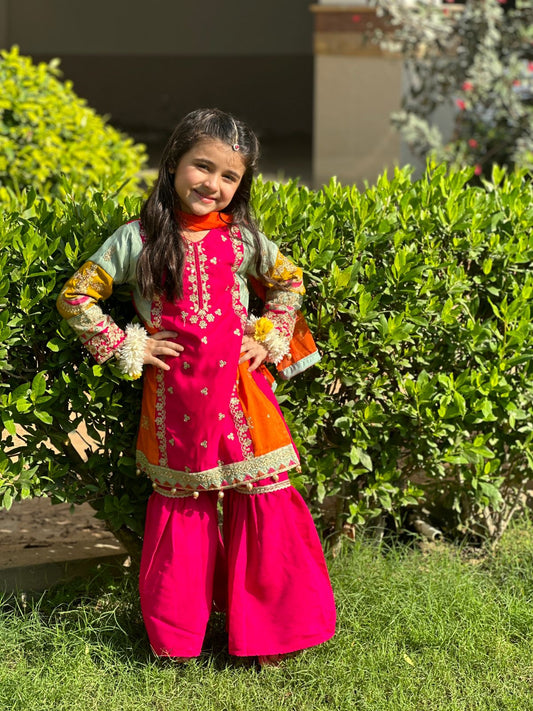 Multi Colour Gharara-KG 013