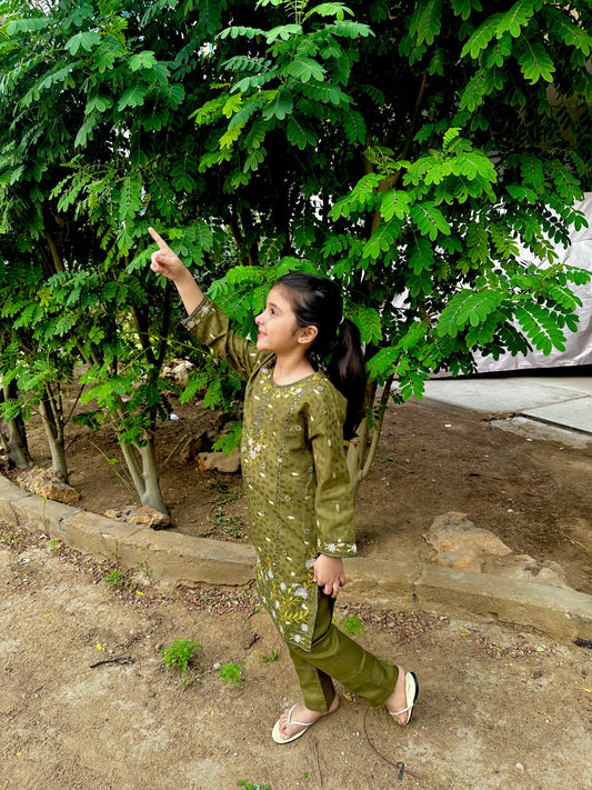 Olive Green Embroidered Suit KST 0073