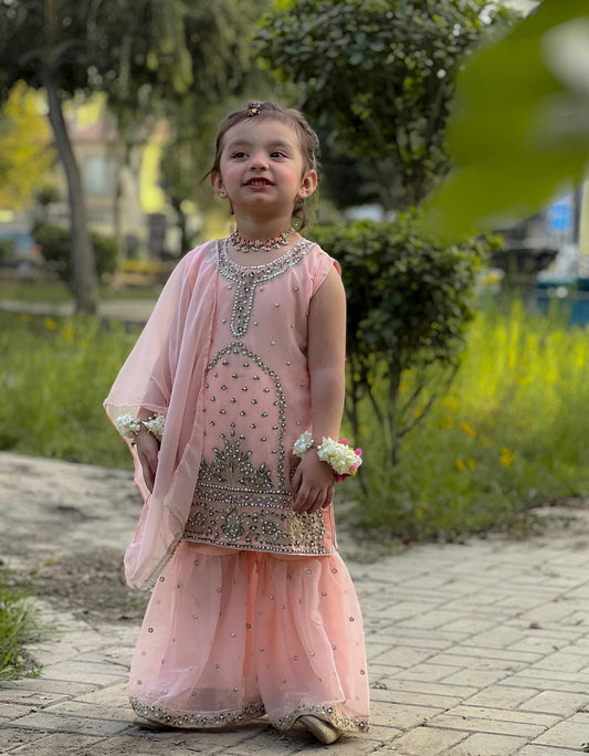 Apricot Gharara-KG 012