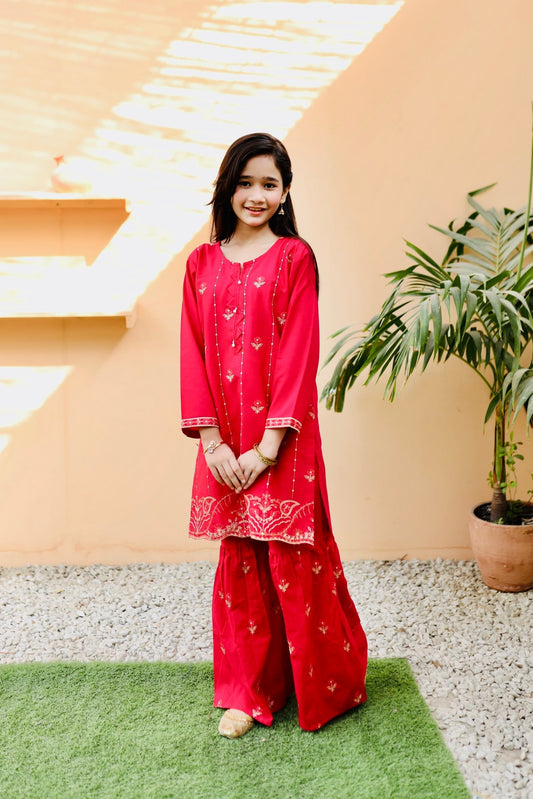 Deep Pink Embroidered Gharara KST 109