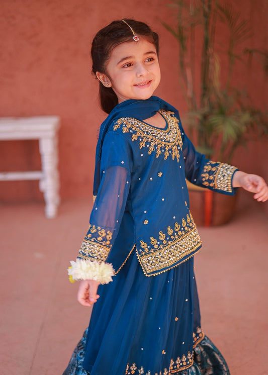 Blue Lehenga-KL 003