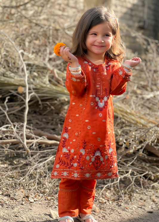 Rust Orange Embroidered KST 086