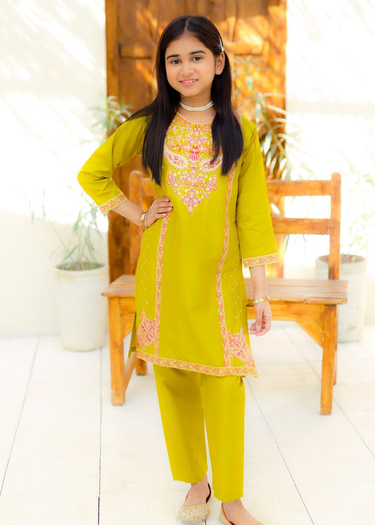 Acid Yellow Embroidered 2Pcs Suit KST 134