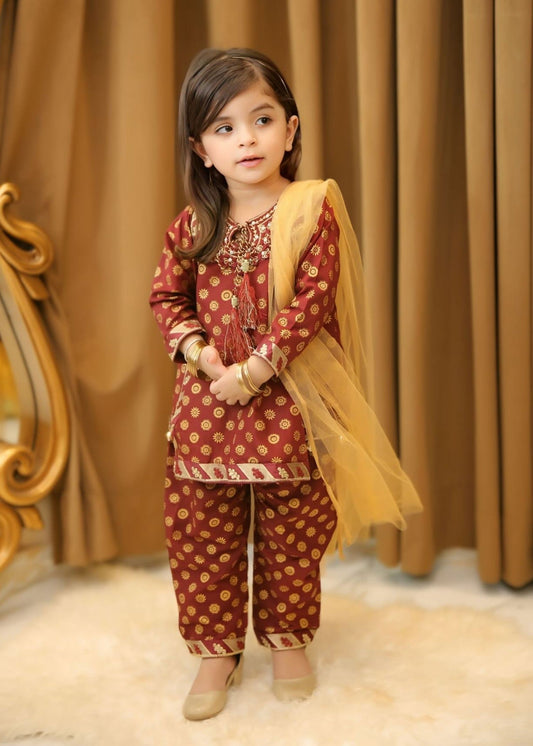 Brown 3Pcs Suit-KST 039