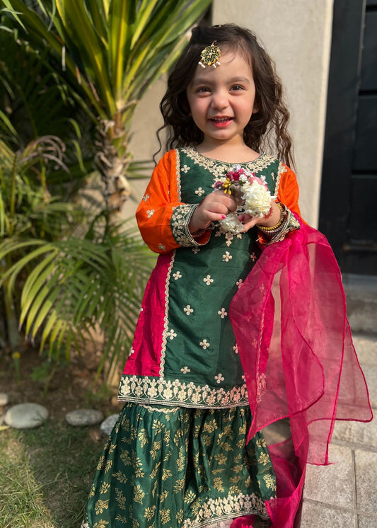 Green Multi Colour Gharara-KG 020